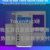 TokenPocket收款 TP钱包异日发展趋势臆测，引颈数字支付新波澜